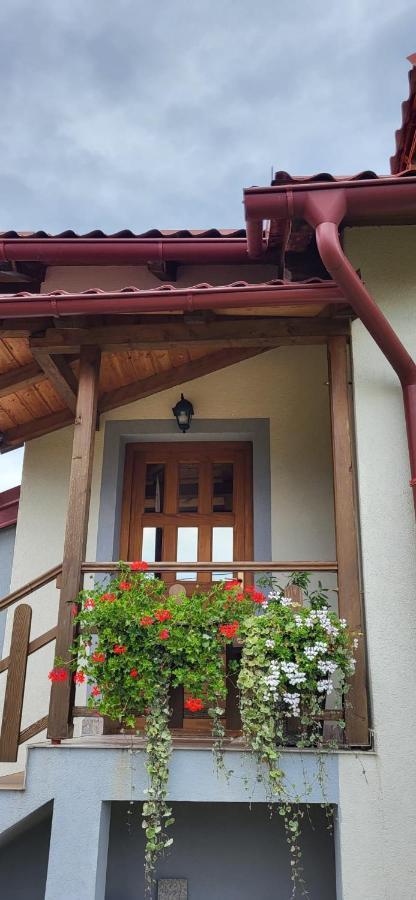 House Sara Apartment Korenica Exterior photo
