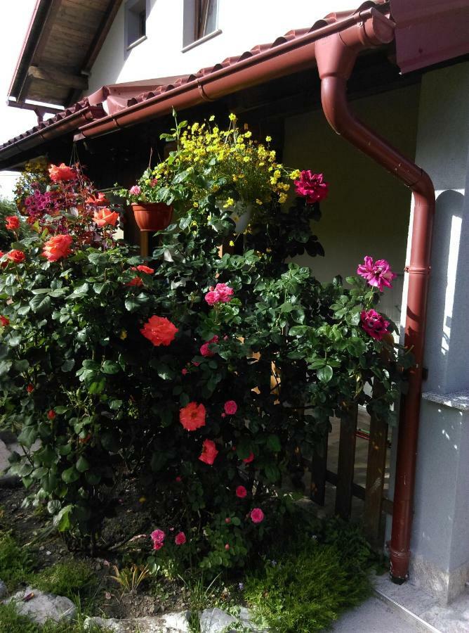 House Sara Apartment Korenica Exterior photo